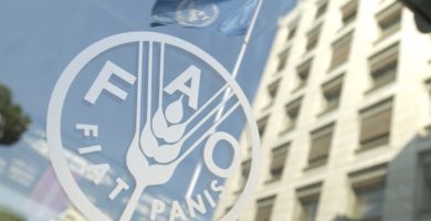 Seguridad Alimentaria FAO