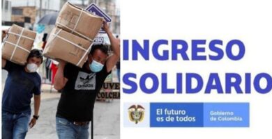 Apoyo Económico Ingreso Solidario