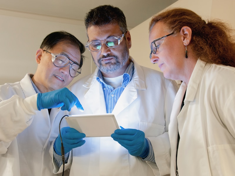 phd research